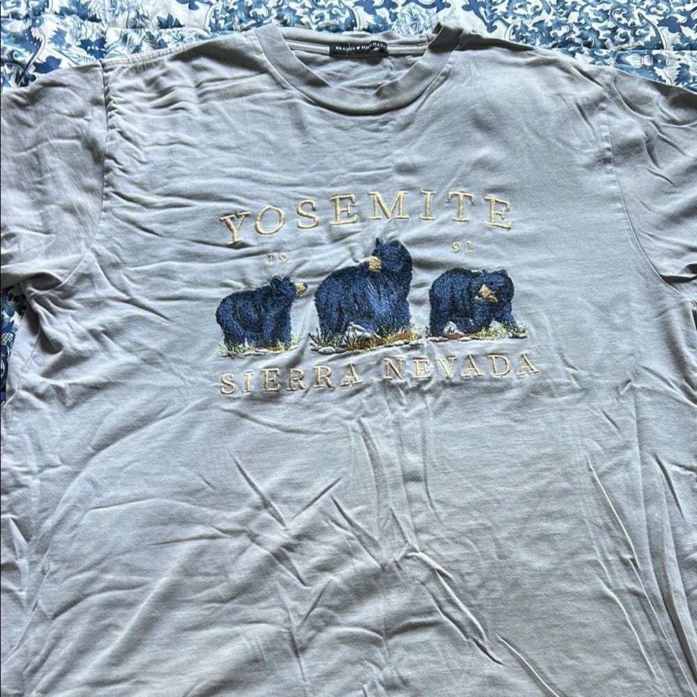Brandy Melville Gray Yosemite Graphic Tee